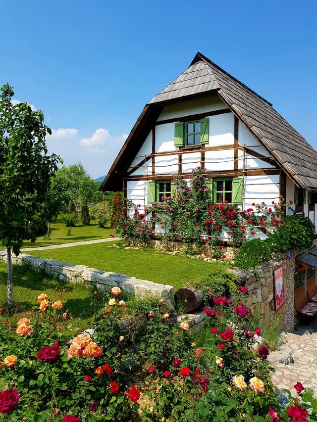 Dream House